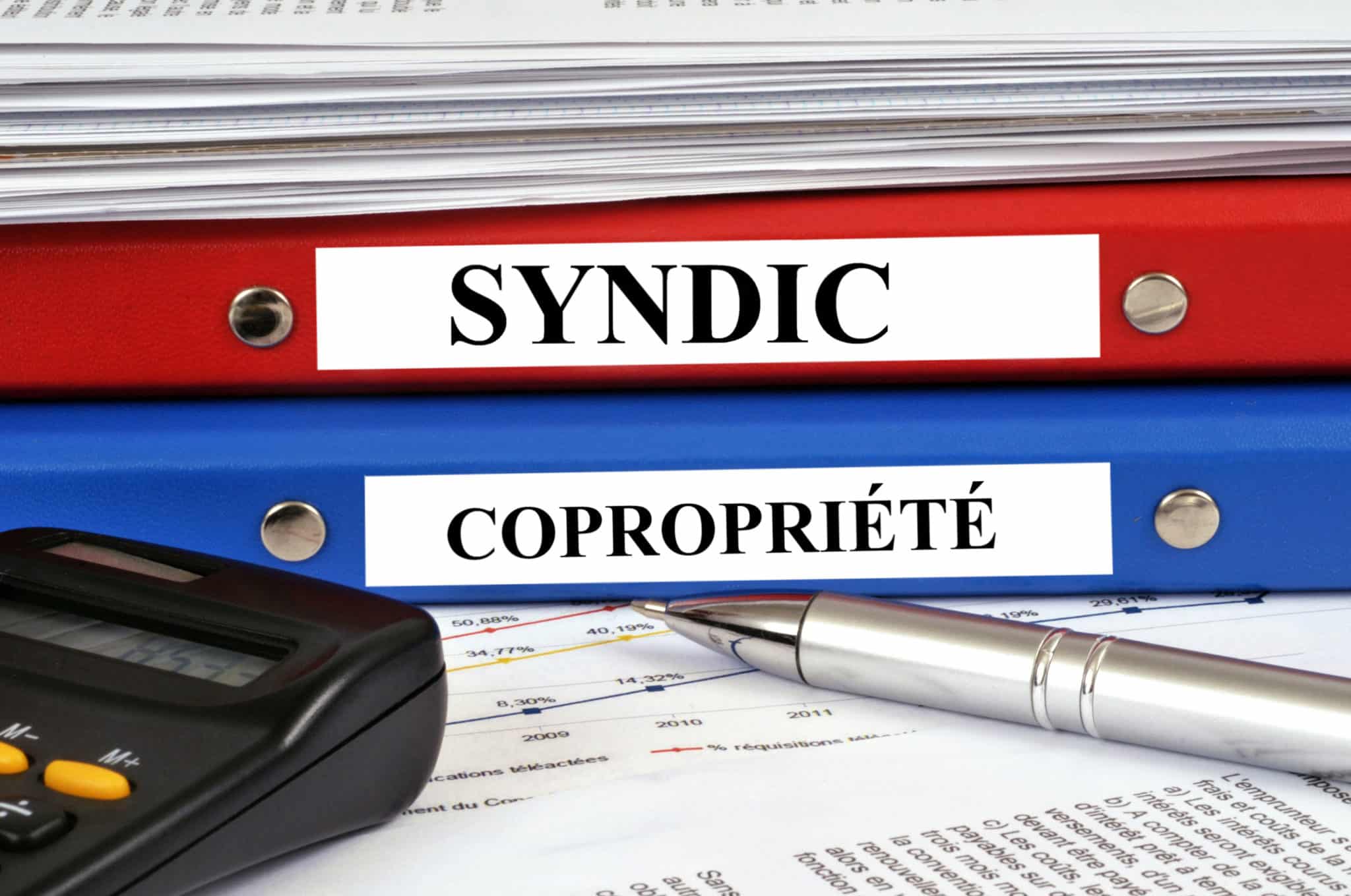 syndic